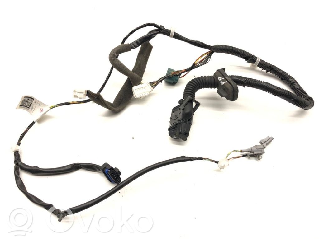 Nissan Juke I F15 Cablaggio porta anteriore
