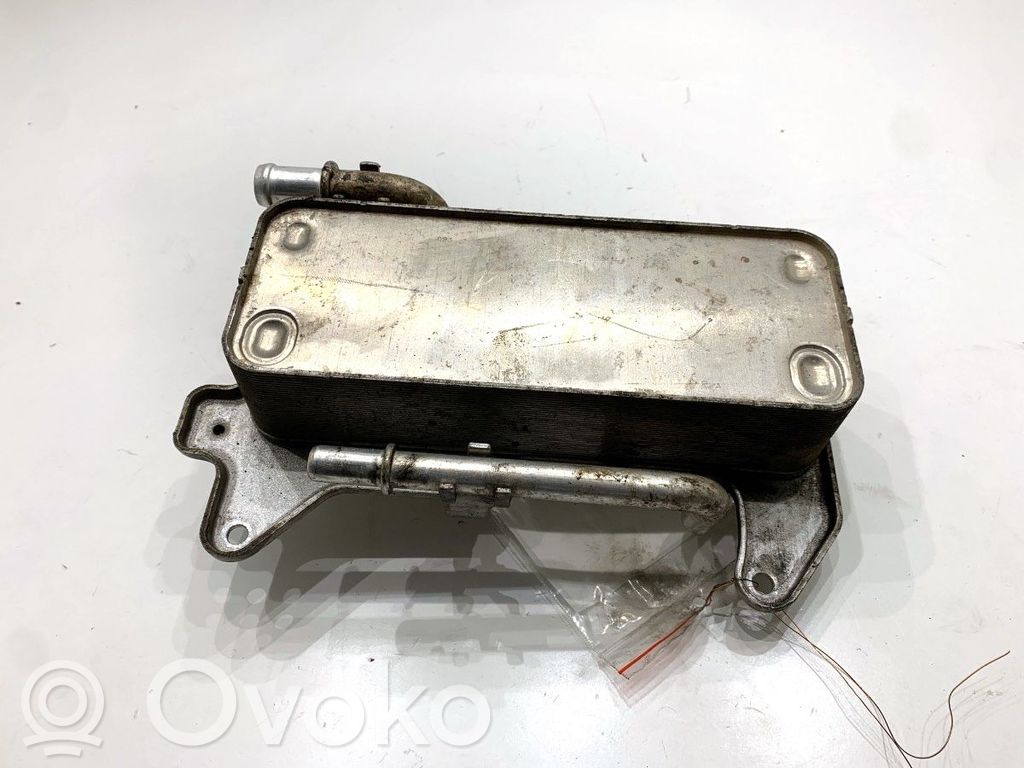 Audi Q8 Radiatore del carburatore (radiatore)
