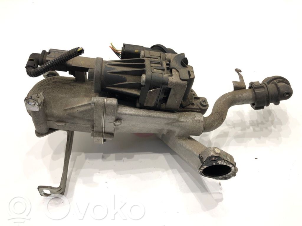 Citroen DS3 EGR valve 
