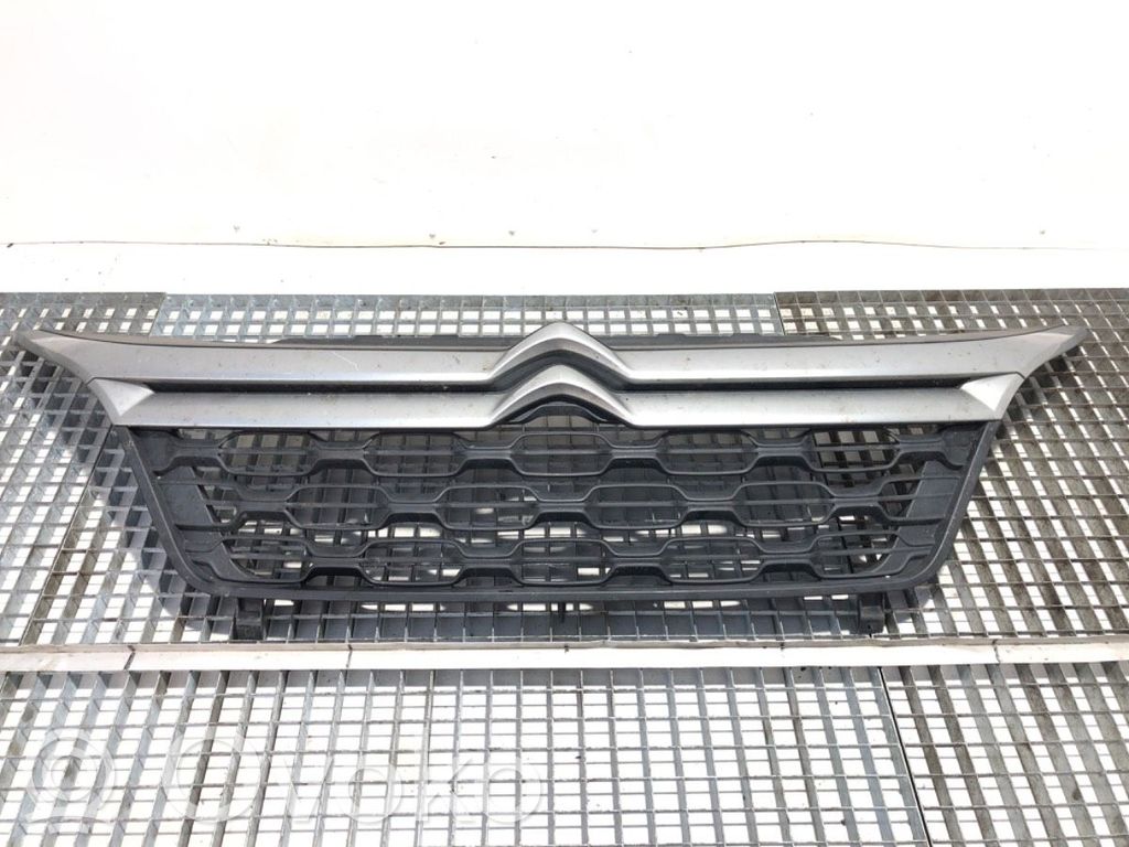 Kühlergrill   1315804070