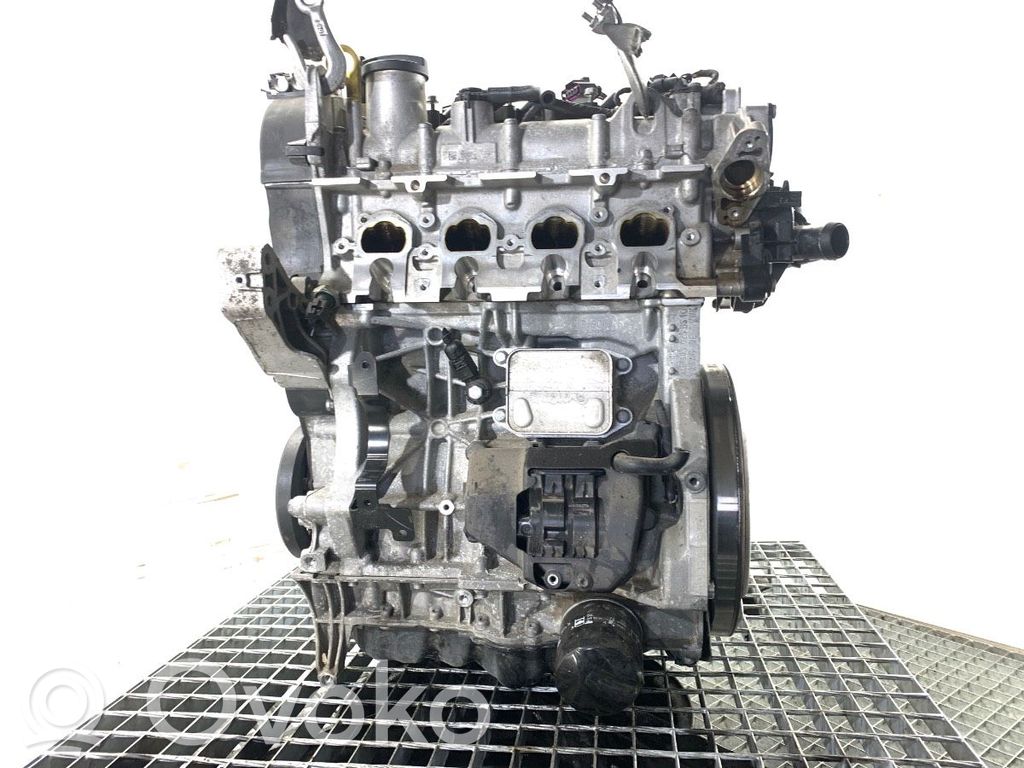 Motor   DGE