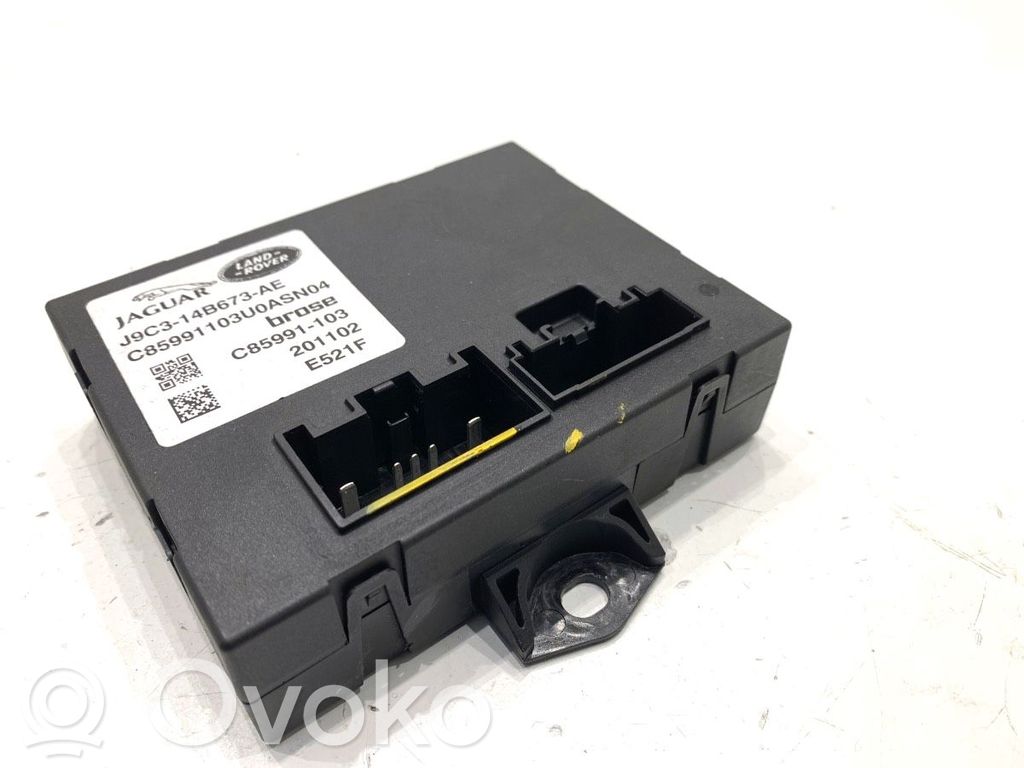 Other control units/modules   J9C314B673AE