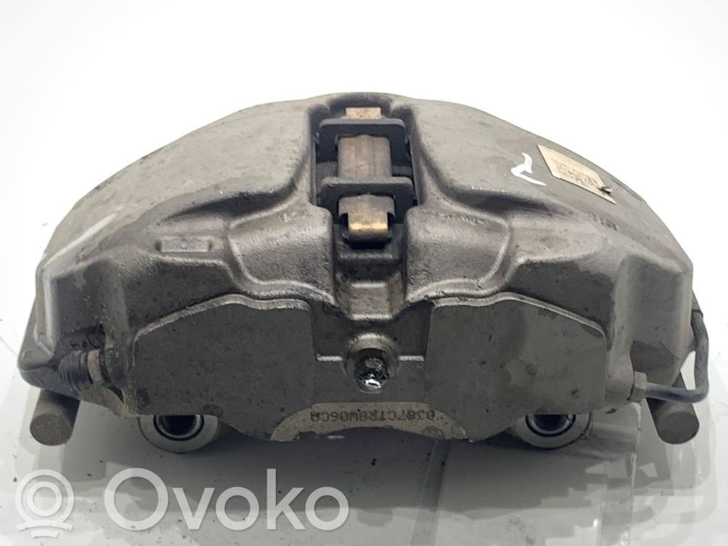 Front brake caliper   8W06CA