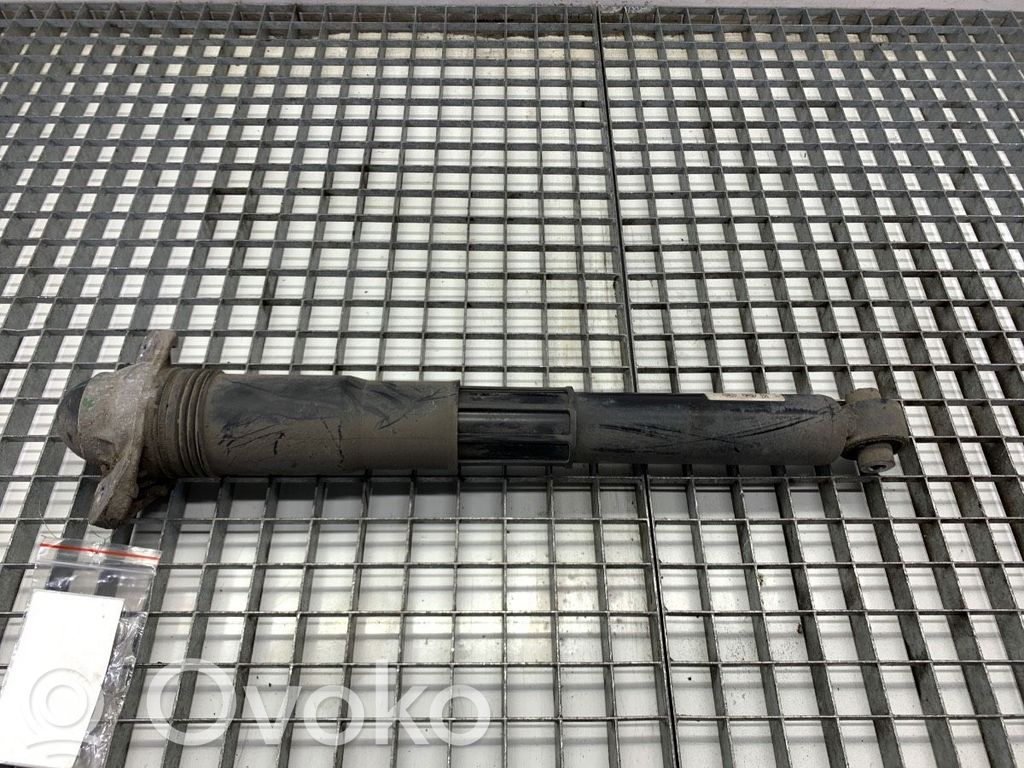 Amortiguador trasero   1EA512013AS