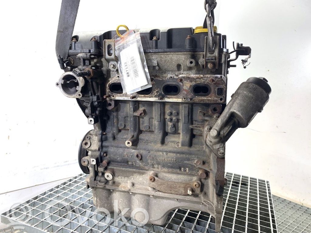 Variklis   B14XEJ