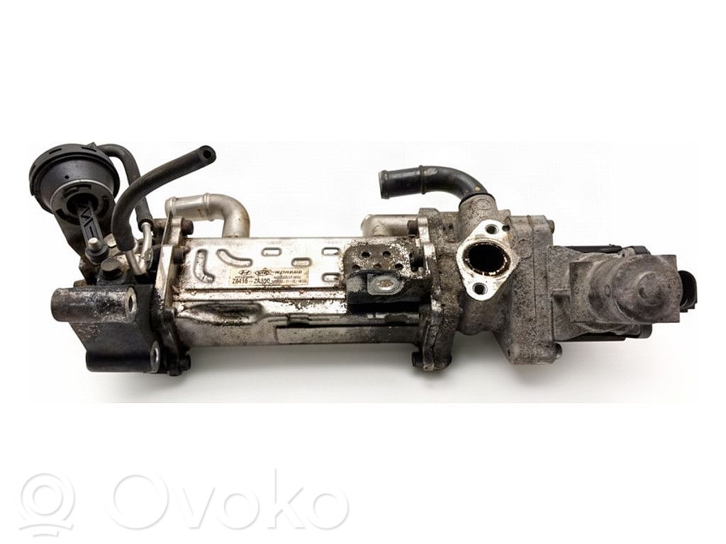 KIA Optima Valvola di raffreddamento EGR 