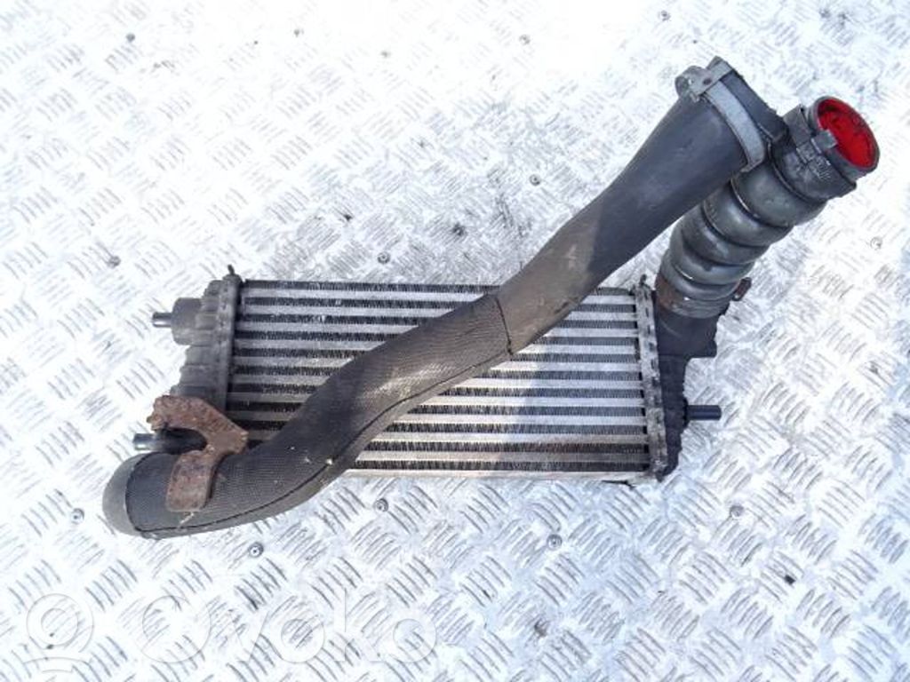 Intercooler radiator