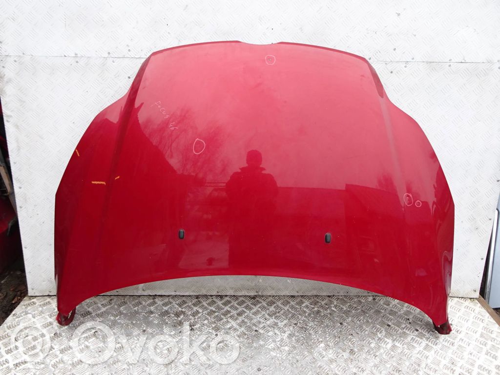 Engine bonnet/hood