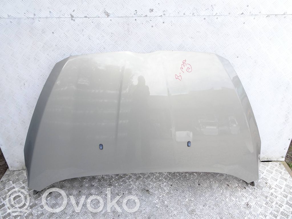 Engine bonnet/hood   SADF