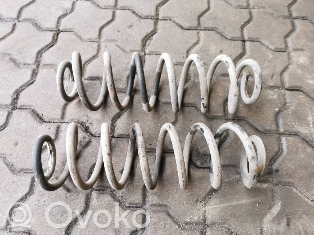 Rear coil spring