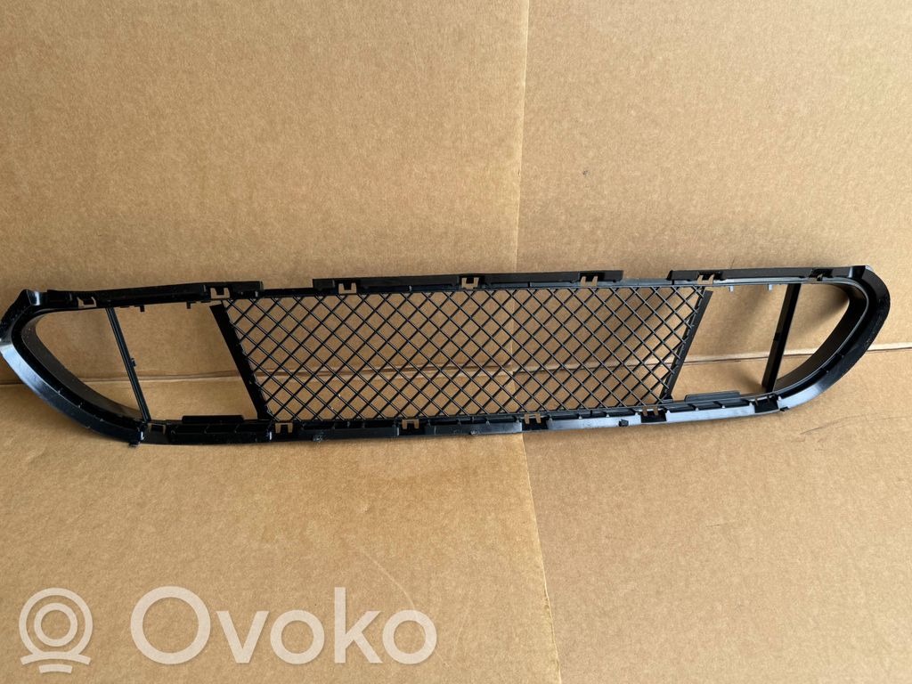 BMW iX Front bumper lower grill 