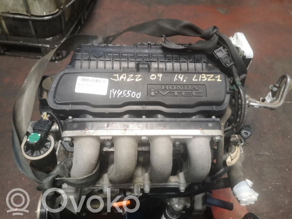 Motor   L13Z1