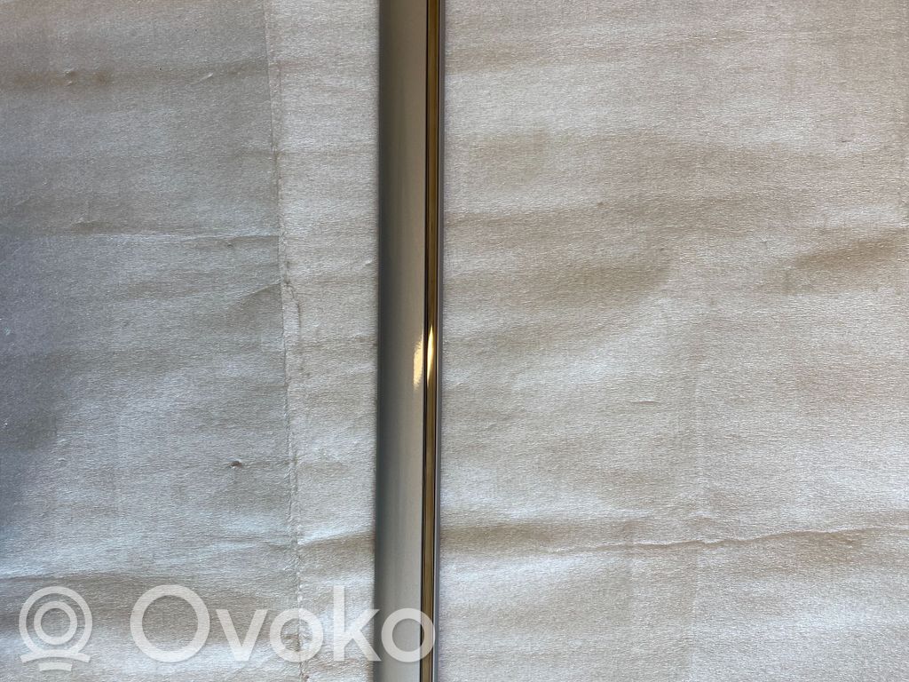 Mercedes-Benz A W168 Priekšpusē durvju dekoratīvā apdare (moldings) 
