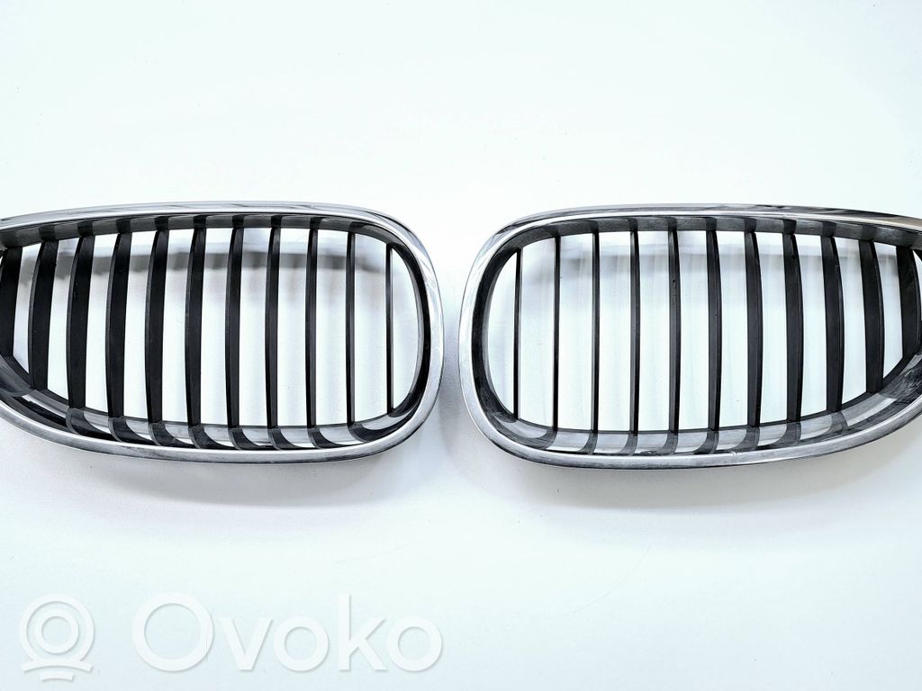 Front grill   51137065701