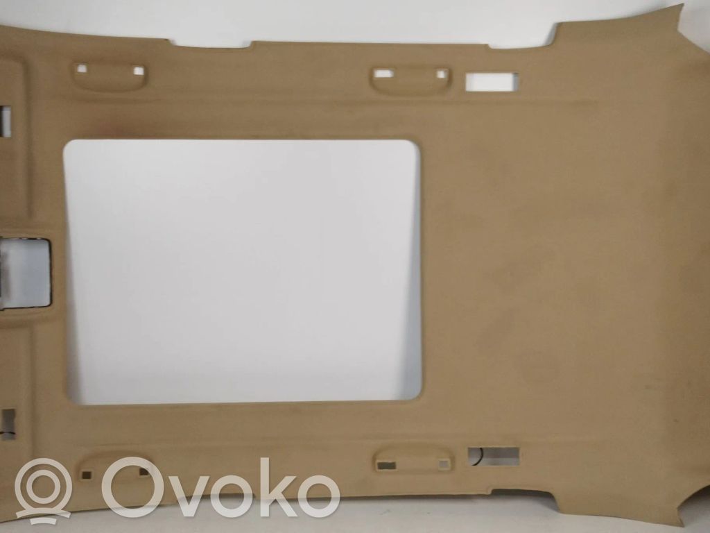 BMW X5 E70 Headlining 
