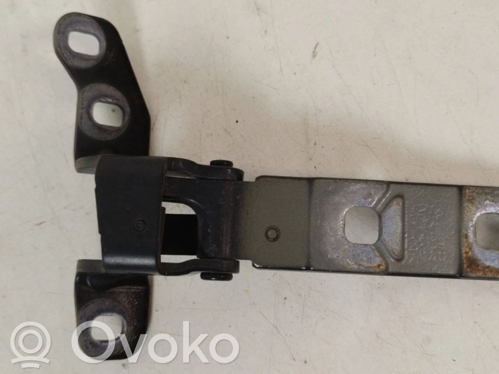 BMW X5 E70 Tailgate/trunk/boot hinge 