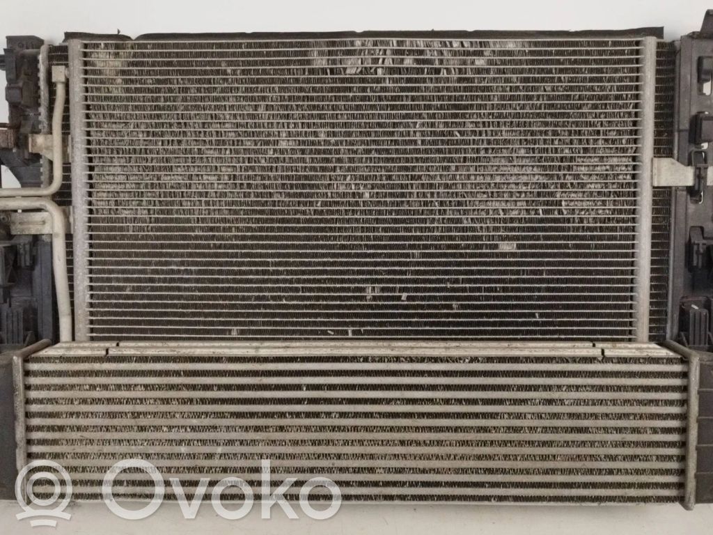 Radiator set   31338475,1200011793,31319423