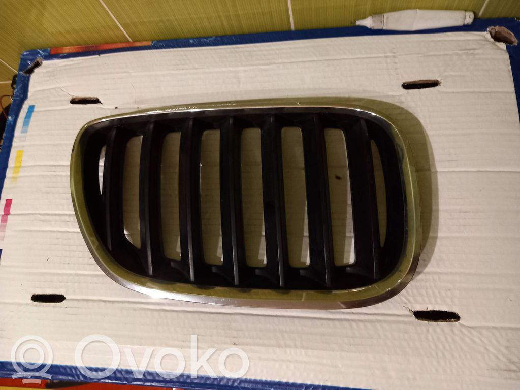 Front grill   51137113738