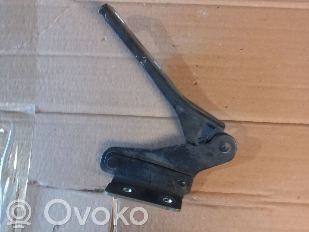 Seat Exeo (3R) Dzinēja pārsega eņģe (-es) 