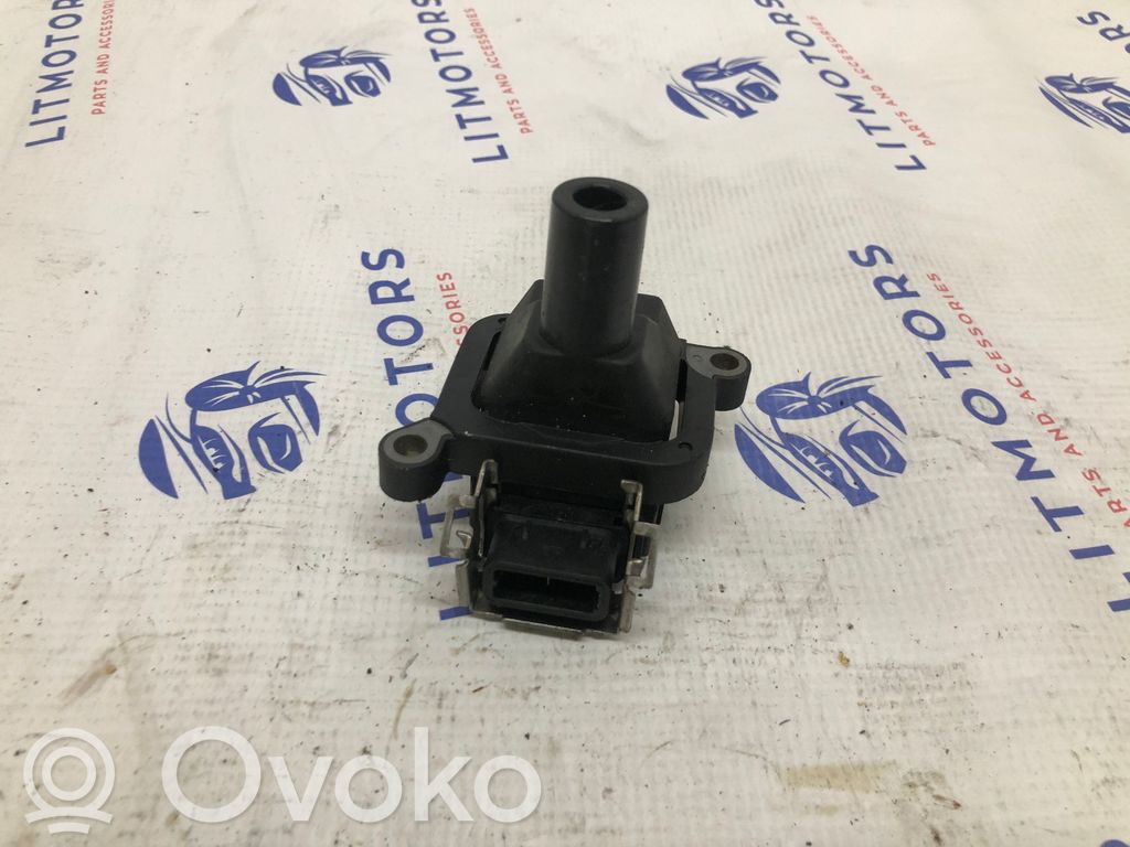High voltage ignition coil   1703227,0221504004