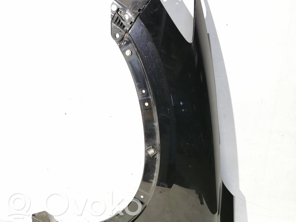 Fender