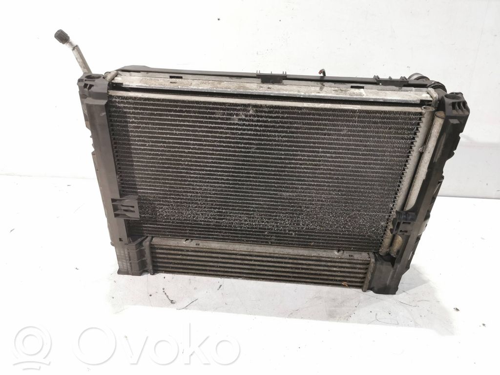 Radiatora komplekts   780153703
