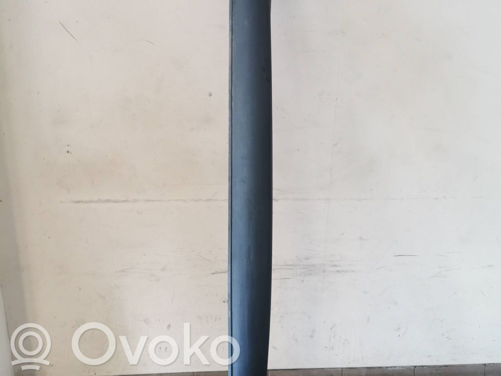 Citroen C4 Cactus Slenkstis 