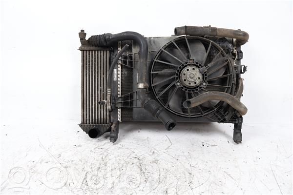 Ventilador de refrigeración   8200427466