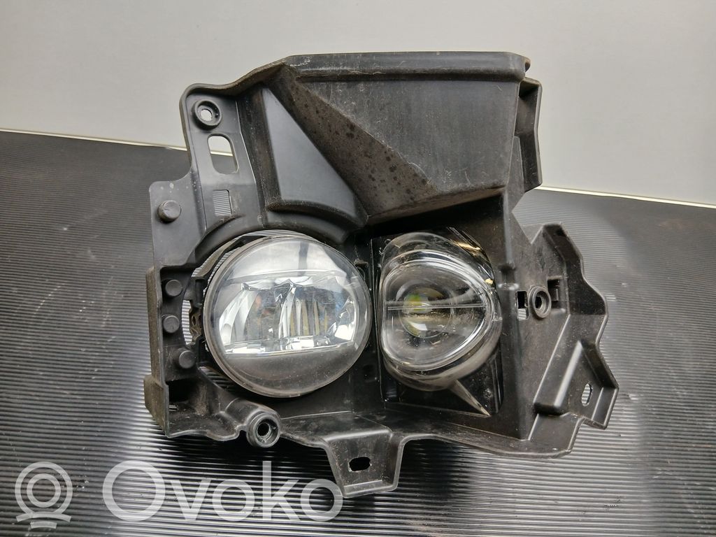Lexus RX 450H Miglas lukturis priekšā 