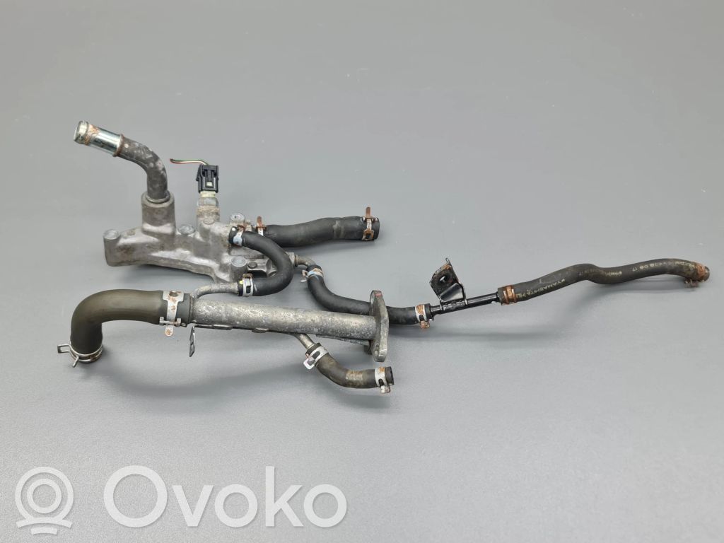 Honda Accord Variklio aušinimo vamzdelis (-ai)/ žarna (-os) 