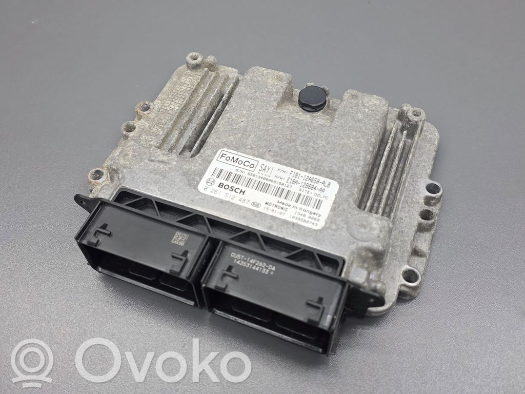 Engine control unit/module   F1B112A650ALB,F1BA12B684AA,0261S12487