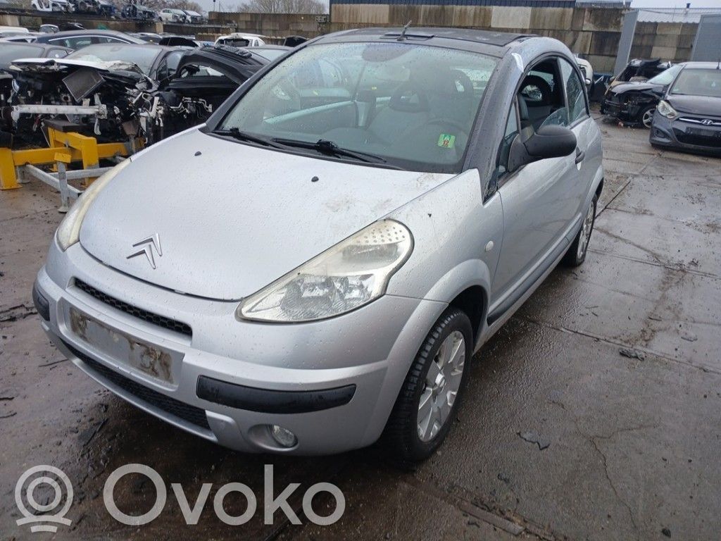 Citroen C3 Pluriel Kita dugno detalė 