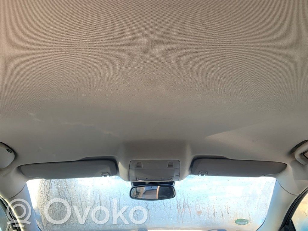 Opel Insignia A Techo 