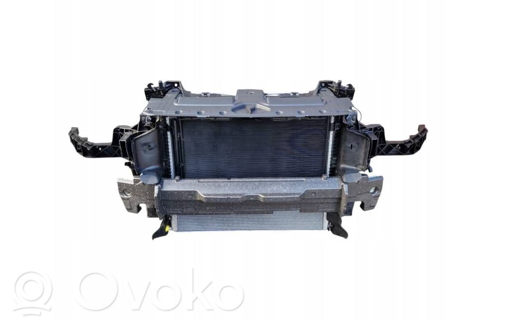 Audi RS Q8 Radiatorių panelė 