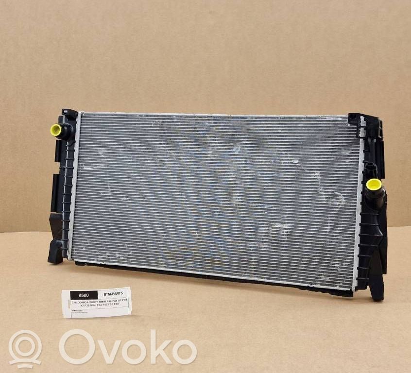 BMW 1 F40 Dzesēšanas šķidruma radiators 