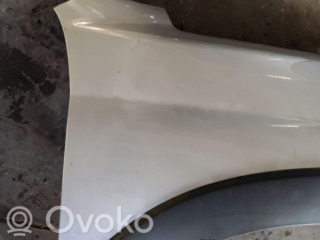 Peugeot 207 Fender 