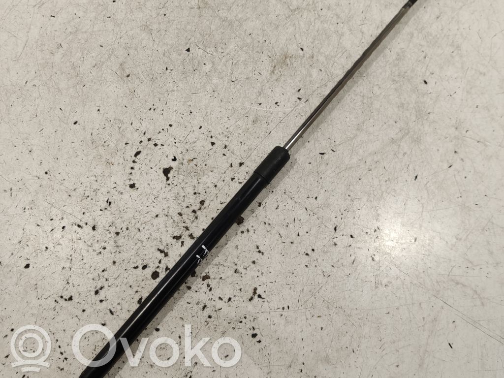 Ford Focus Tailgate/trunk strut/damper 