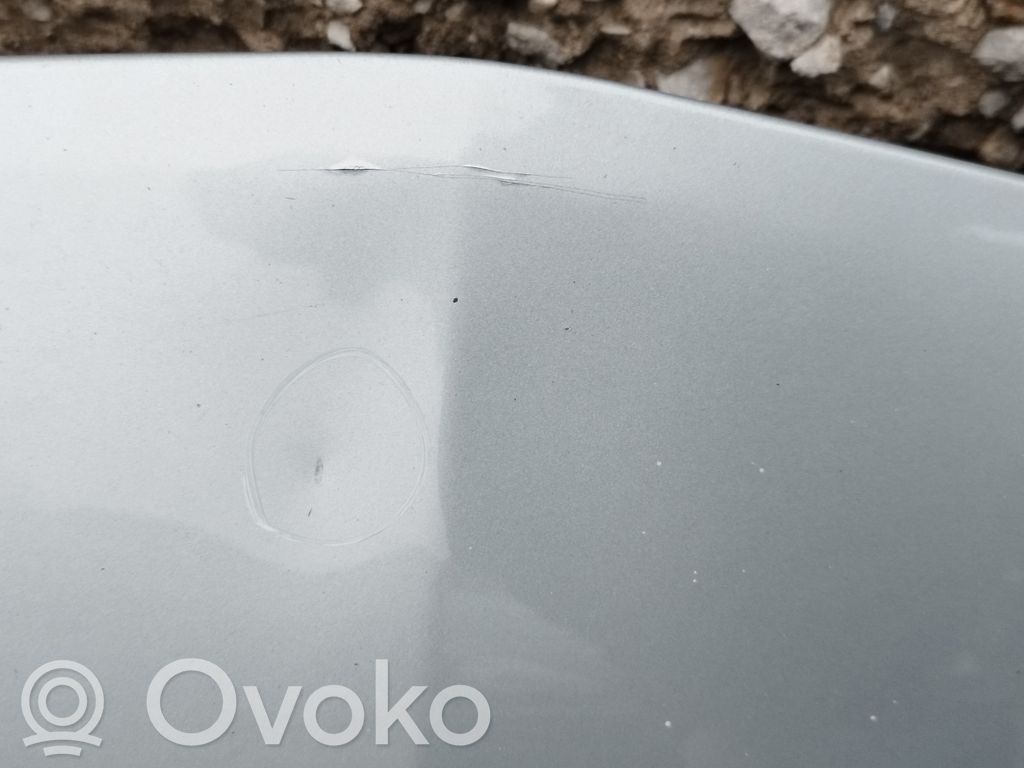 Dzinēja pārsegs (vāks)