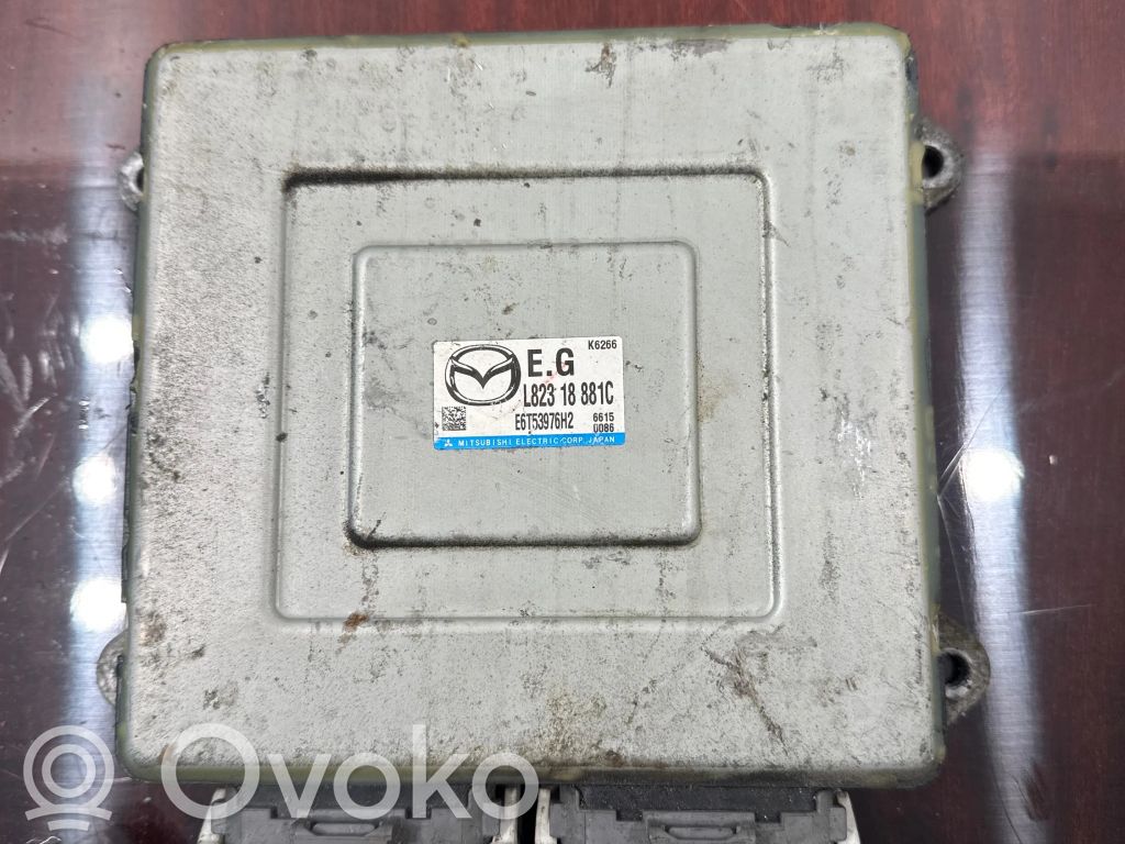 Engine control unit/module   L82318881C,E6T53976H2,K6266