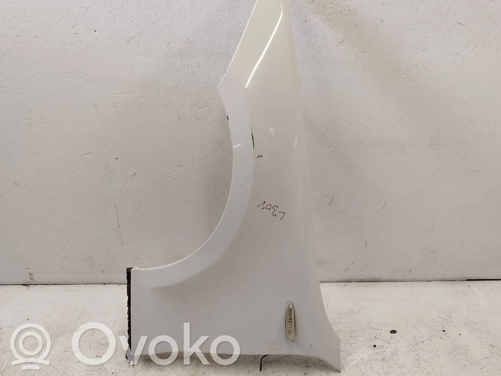 Fender