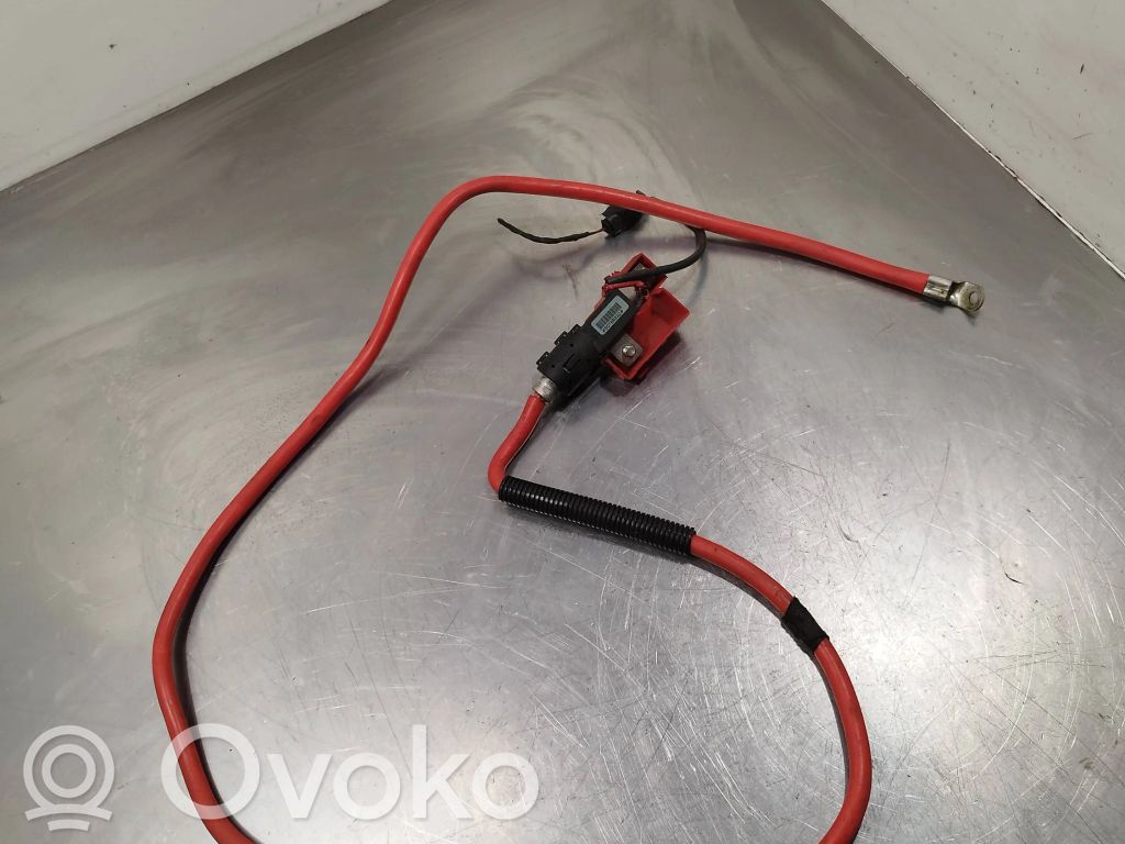 BMW 5 E60 E61 Pliusinis laidas (akumuliatoriaus) 