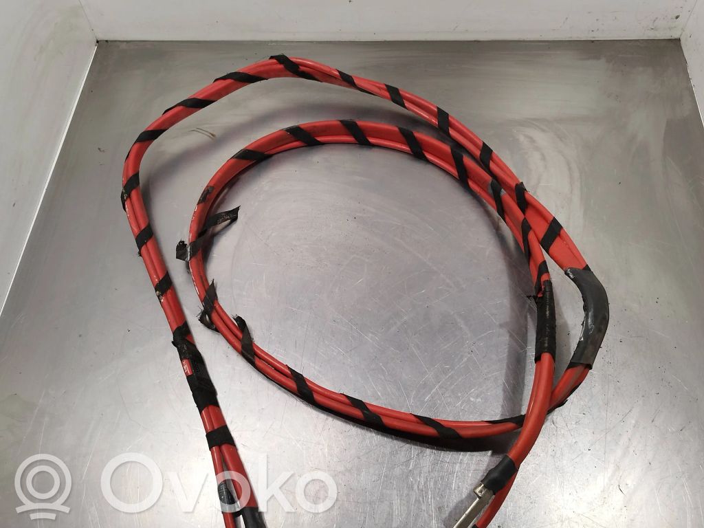 Positive cable (battery)   6904876,6904901