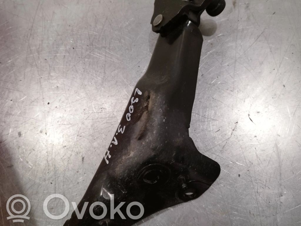 Citroen Berlingo Sliding door lower roller guide/hinge 