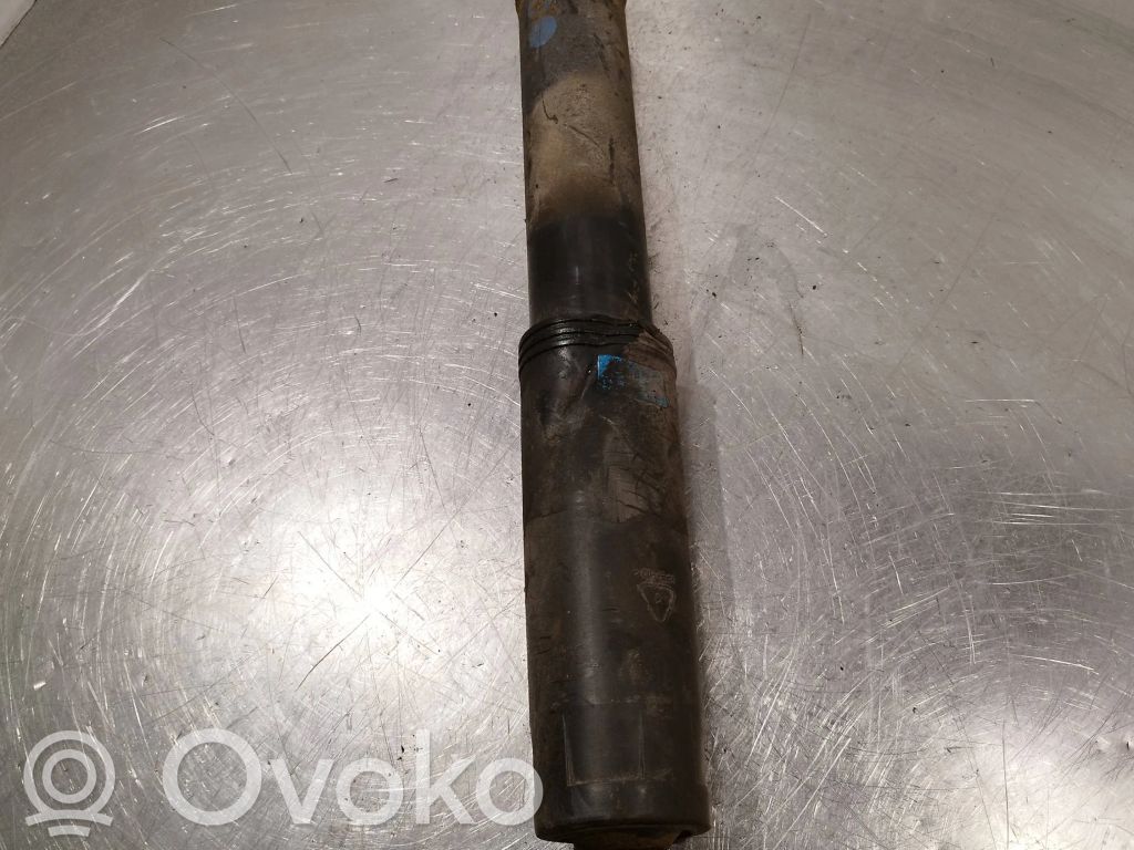 Stoßdämpfer hinten