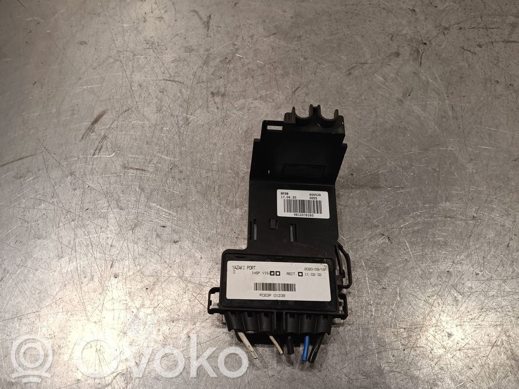 Citroen Berlingo Módulo de fusible 