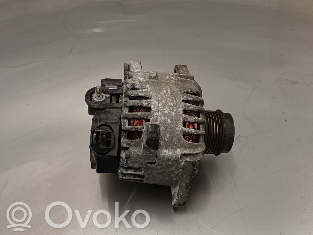 Alternador   2616559,135V110A