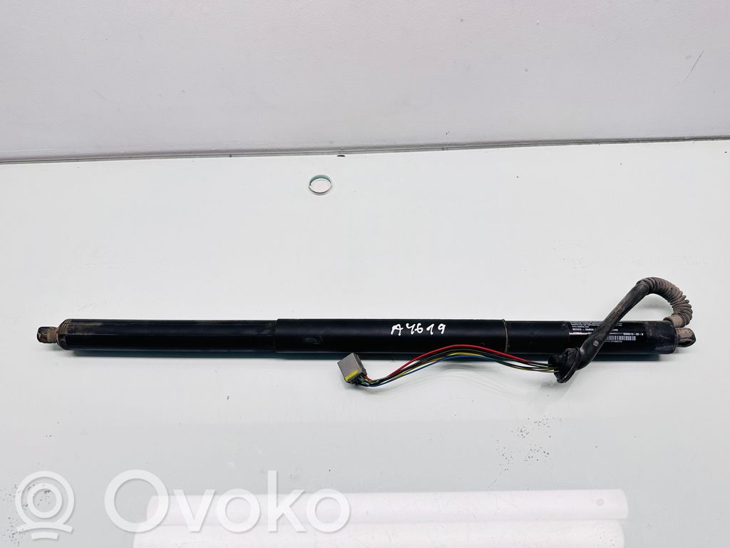Tesla Model S Tailgate/trunk strut/damper 