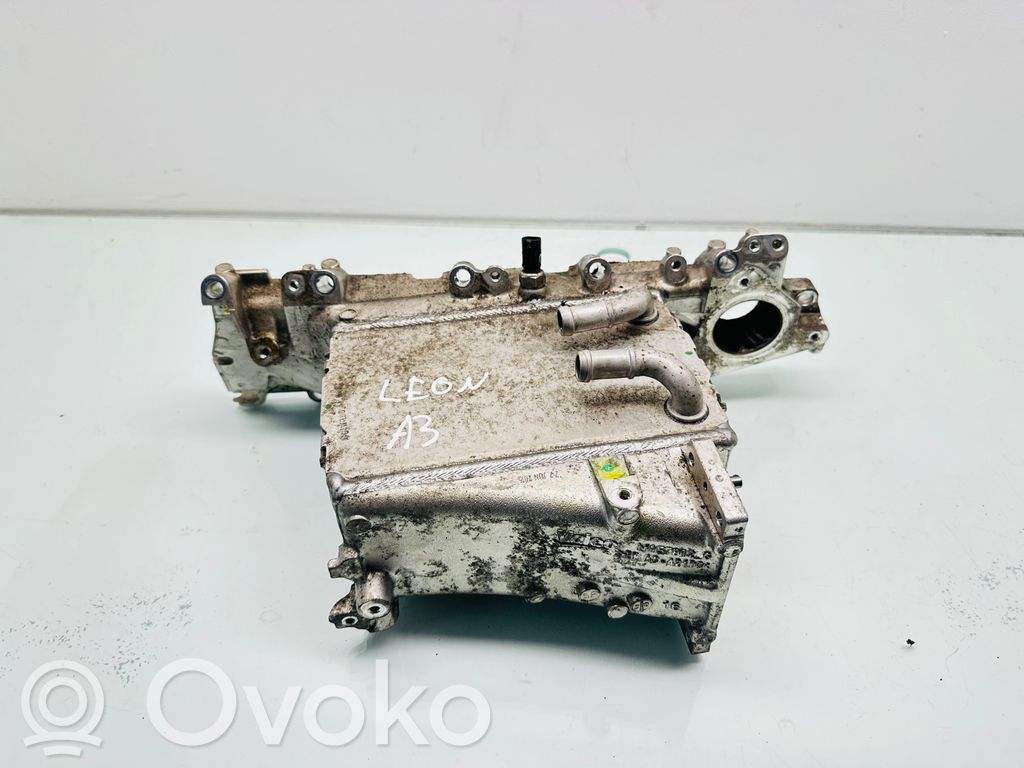 Seat Leon (5F) Kolektorius įsiurbimo 