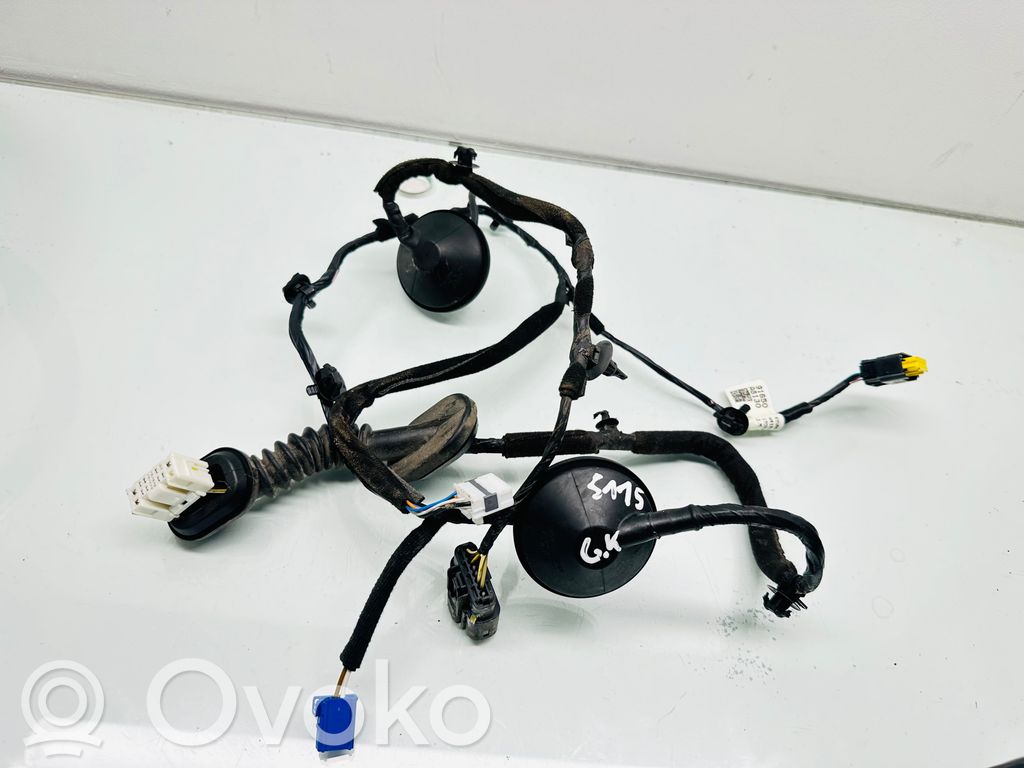 KIA Optima Cableado de puerta trasera 