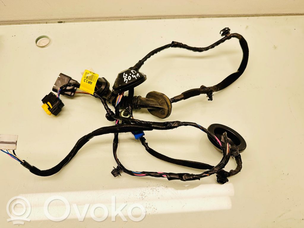 KIA Optima Cableado de puerta trasera 